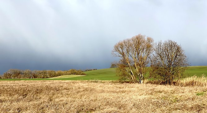 Weiterhin mildes Wetter (Foto: oas) Weiterhin mildes Wetter (Foto: oas)