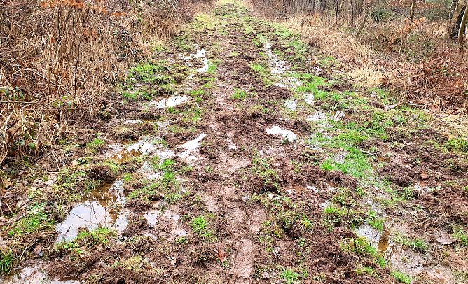 Nur Fliegen ist sch&ouml;ner: Schlamm war ein h&auml;ufiger Begleiter beim 45. S&uuml;dharz-Hunderter: Hier im Alten Stolberg (Foto: B.Schwarzberg)