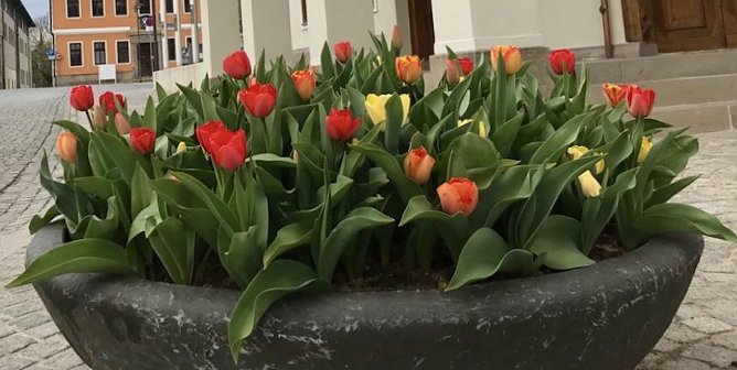 Ostermarkt in Sondershausen (Foto: Eva Maria Wiegand)