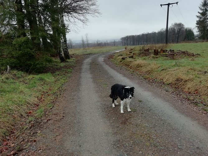 Es gr&uuml;nt in der Flur - auch in Sophienhof hat man den Winter inzwischen abgesch&uuml;ttelt (Foto: W. J&ouml;rgens)
