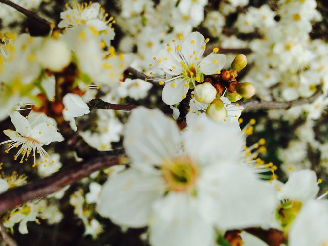 Wetterbild (Foto: nnz)