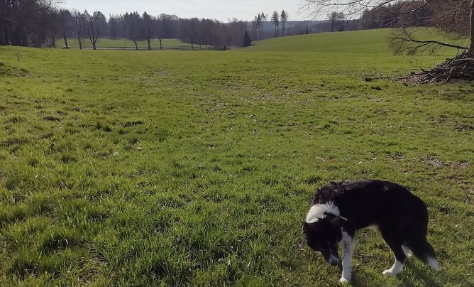 Sonnig, windstill und 5 Grad meldete Sophienhof heute morgen (Foto: W.J&ouml;rgens)