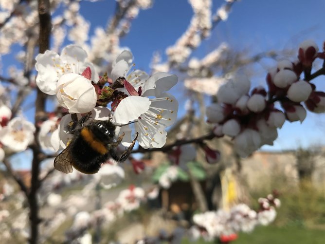 Wetterbild (Foto: nnz) Wetterbild (Foto: nnz)