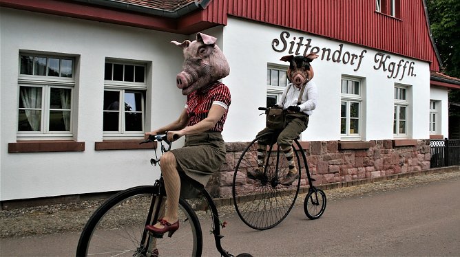 Herr Eber und Frau Sau (Foto: U. Reinboth) Herr Eber und Frau Sau (Foto: U. Reinboth)