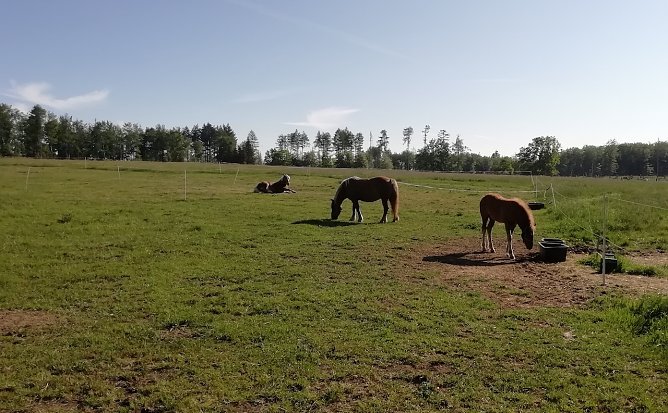 Sophienhof im Harz meldet heute Morgen 8 Grad und leichten Wind (Foto: W.J&ouml;rgens)