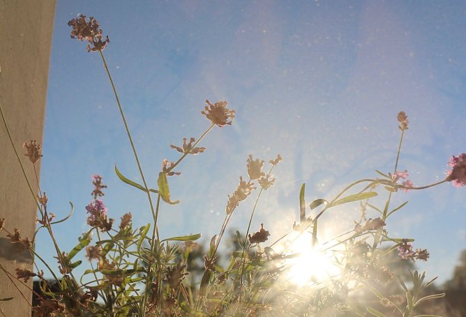 Wetterbild (Foto: agl) Wetterbild (Foto: agl)