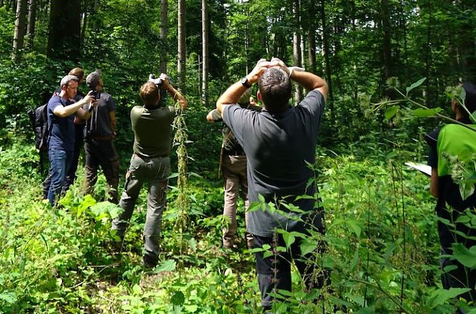 Waldzustandsexperten in Auftrag von Th&uuml;ringenForst (Foto: Krahnberg)