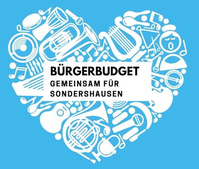 Abstimmung B&uuml;rgerbuget (Foto: Janine Skara)