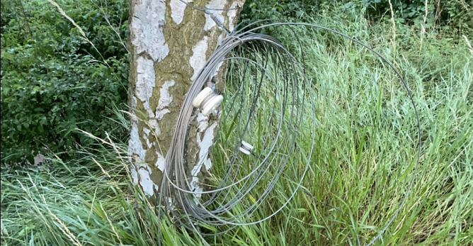 Das gef&auml;hrliche Hinderniss wurde vor dem eintreffen der Polizei gekappt (Foto: Landespolizeiinspektion Nordhausen)