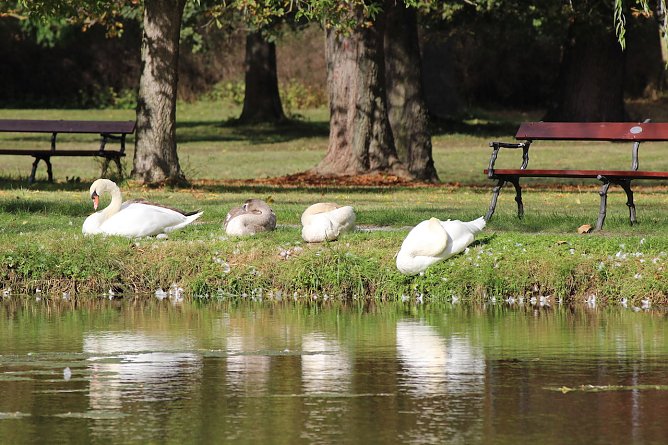 Im Sondersh&auml;user Schlosspark (Foto: Eva Maria Wiegand)