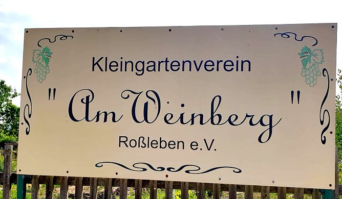 Sommerfest in Kleingartenverein "Am WEinberg" (Foto: Knut Herzau) Sommerfest in Kleingartenverein "Am WEinberg" (Foto: Knut Herzau)