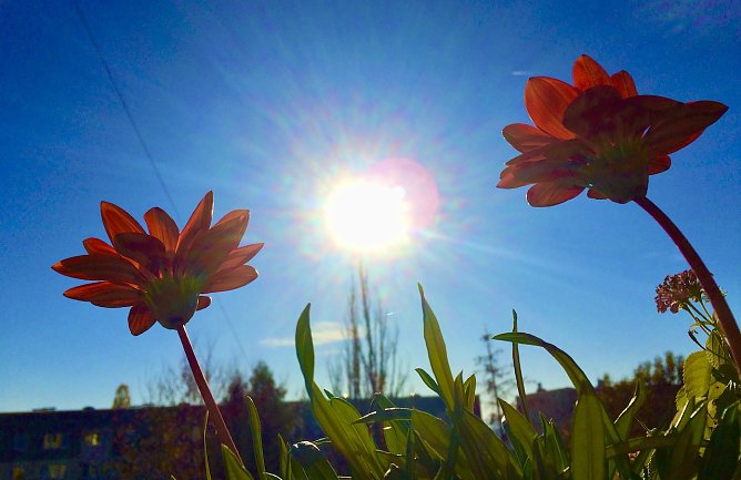 Damit der Sommertag zu einem sch&ouml;nen Erlebnis wird  (Foto: Eva Maria Wiegand)