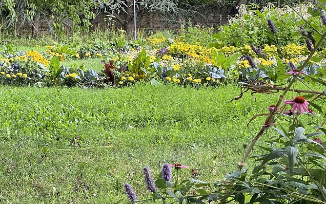Gewitterneigung am Nachmittag (Foto: oas) Gewitterneigung am Nachmittag (Foto: oas)
