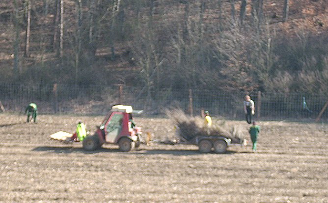 Baumpflanzung Possenauffahrt (Foto: Karl-Heinz Herrmann) Baumpflanzung Possenauffahrt (Foto: Karl-Heinz Herrmann)