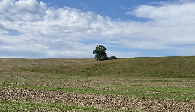 Der Herbst hält langsam Einzug in Thüringen (Foto: oas) Der Herbst hält langsam Einzug in Thüringen (Foto: oas)