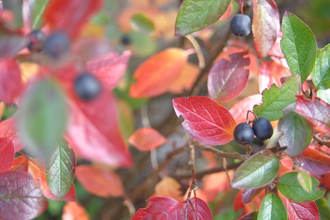 Wetterbild (Foto: nnz)