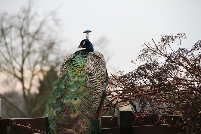 Wetterbild (Foto: agl) Wetterbild (Foto: agl)