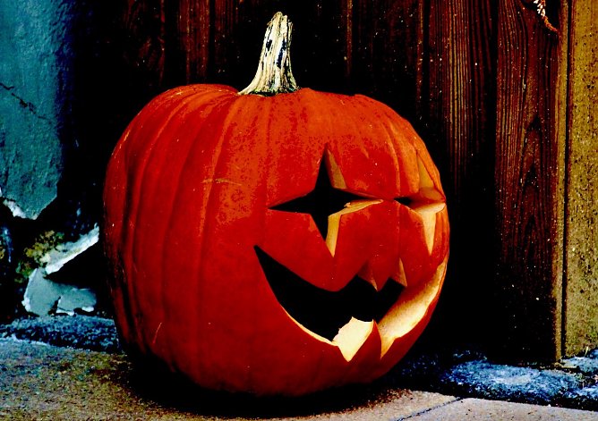 Helloween-Kürbis (Foto: Eva Maria Wiegand) Helloween-Kürbis (Foto: Eva Maria Wiegand)