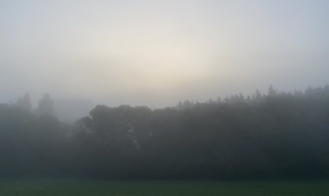 Vielfach ist es neblig im Freistaat und die Sonne kämpft sich nur langsam durch (Foto: oas) Vielfach ist es neblig im Freistaat und die Sonne kämpft sich nur langsam durch (Foto: oas)
