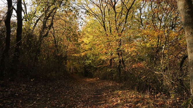 Wetterbild (Foto: agl)