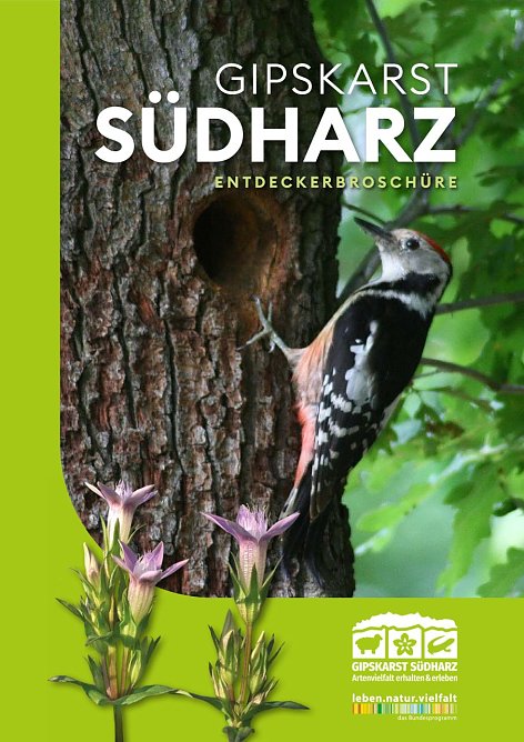 Entdeckerbrosch&uuml;re f&uuml;r den S&uuml;dharz (Foto: Biosph&auml;renreservat S&uuml;dharz)