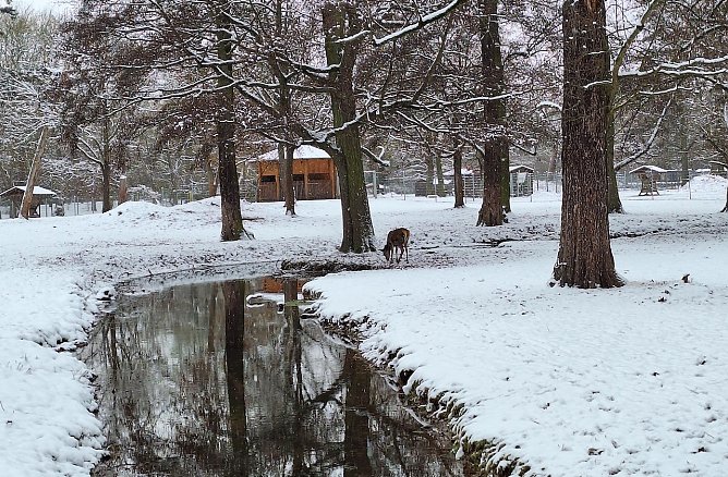 Sonntagsspaziergang im Park (Foto: S. Deckert) Sonntagsspaziergang im Park (Foto: S. Deckert)