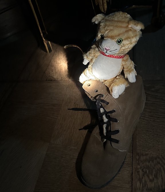 Taschenlampenführung im Schlossmuseum Sondershausen (Foto: Janine Skara) Taschenlampenführung im Schlossmuseum Sondershausen (Foto: Janine Skara)