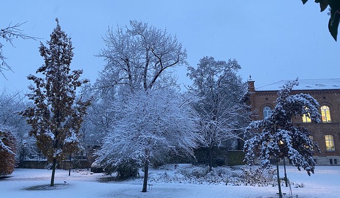 Der Winter kehrt zur&uuml;ck. bringt er auch wieder Schnee? (Foto: oas)