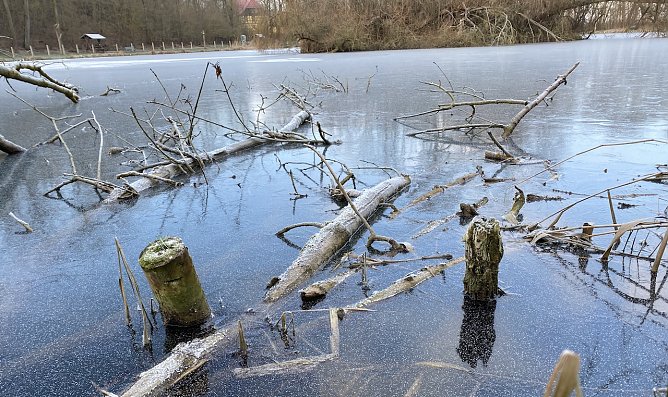 Auch an den Langensalzaer Böhmenteichen bleibt der Frost erhalten (Foto: oas) Auch an den Langensalzaer Böhmenteichen bleibt der Frost erhalten (Foto: oas)