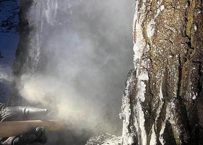Gesch&auml;ndeter Baum im Schlosspark heute fr&uuml;h (Foto: S.Dietzel)