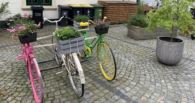 Symbolbild Radeln (Foto: Eva Maria Wiegand)