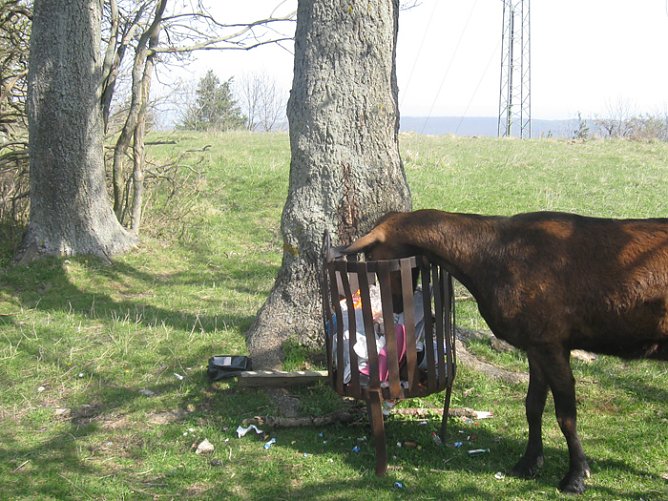 Bel&auml;stigung auf Frauenberg (Foto: Karl-Heinz Herrmann)