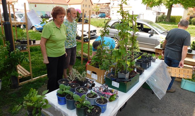 Frankenh&auml;user Pflanzenb&ouml;rse (Foto: Peter Zimmer)
