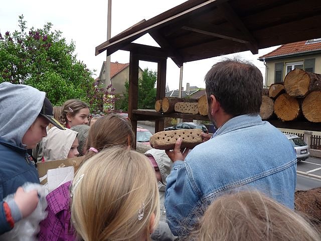 Bau eines Insektenhotels (Foto: Karl-Heinz Herrmann)