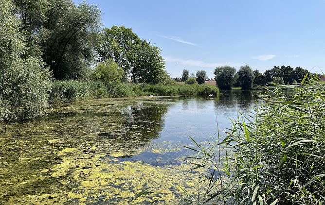 Opfermoor bei Niederdorla (Foto: oas) Opfermoor bei Niederdorla (Foto: oas)