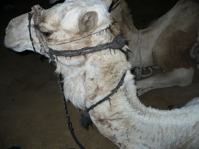Auf dem Mosesberg (Foto: Karl-Heinz Herrmann)
