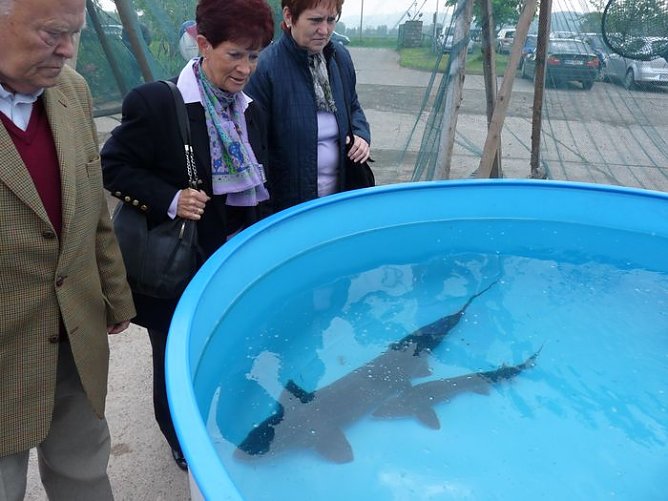 Fischerfest Auleben (Foto: Karl-Heinz Herrmann)