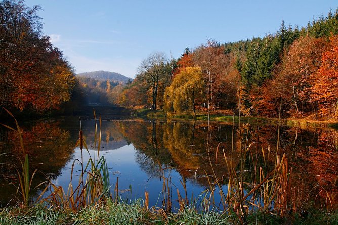 Die W&auml;lder um das Brauertal bei Eisenach zeigen sich bald von ihrer buntesten Seite (Foto: Peter Gerlach)