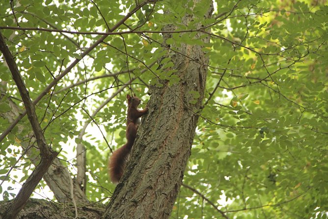 Wetterbild (Foto: agl) Wetterbild (Foto: agl)