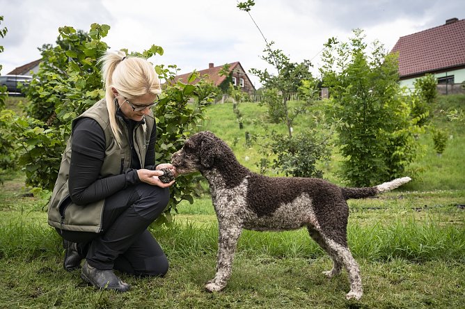 Unternehmerin Anja Kolbe-Nelde mit ihrem Tr&uuml;ffelhund (Foto: agrarheute/ Timo Jaworr)