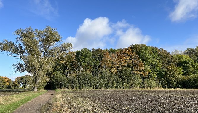 Am Badew&auml;ldchen Bad Langensalza (Foto: oas)