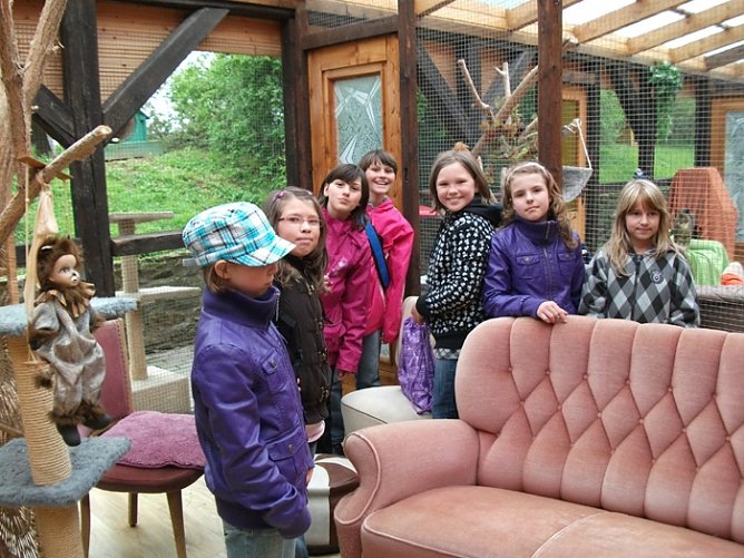 Besuch bei Hund und Katz' (Foto: Domizil Bad Frankenhausen)