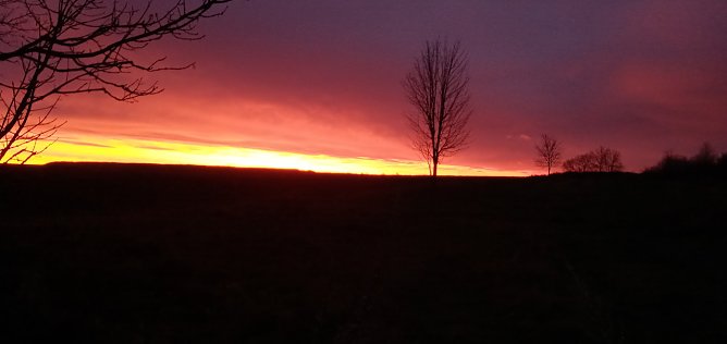Farbenfroher Himmel  (Foto: Petra Gnettner )