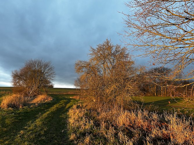Morgentlicher Anblick in Nordhausen OT Leimbach (Foto: Susanne Thümmel) Morgentlicher Anblick in Nordhausen OT Leimbach (Foto: Susanne Thümmel)