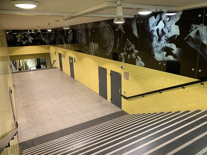 U-Bahnhof in Berlin (Foto: M&ouml;ller privat)