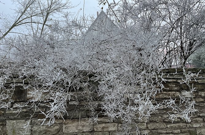 Winterliches Wetter bleibt vorerst bestimmend (Foto: oas)