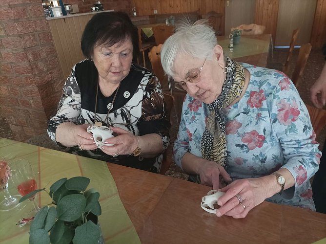 Ein Vortrag &uuml;ber Wildkatzen bei der WB4 in Sondershausen (Foto: Thomas Leipold)