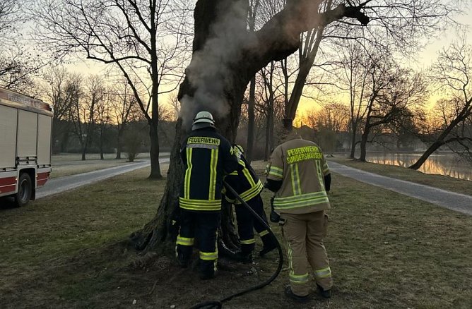 Baum im Schlosspark angezündet (Foto: Polizei) Baum im Schlosspark angezündet (Foto: Polizei)
