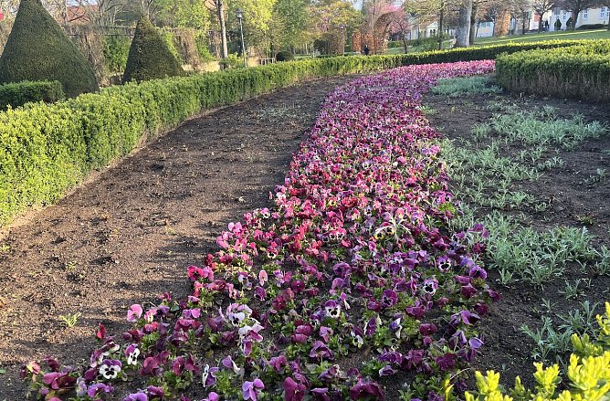 Fr&uuml;hlingshafte Temperaturen bei wechselhaftem Wetter (Foto: oas)