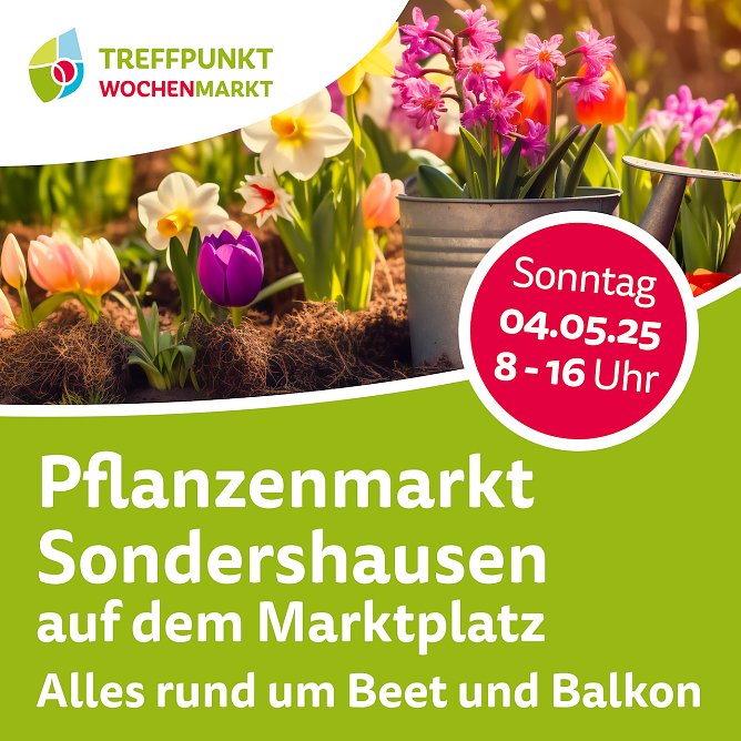 Pflanzenmarkt in Sondershausen (Foto: Janine Skara)